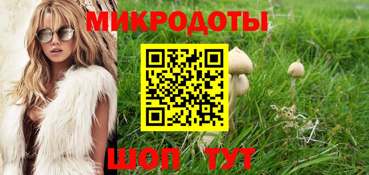 Псилоцибиновые грибы Psilocybine cubensis  Псилоцибиновые грибы GOLDEN TEACHER  Вход с VPN  Ижевск 