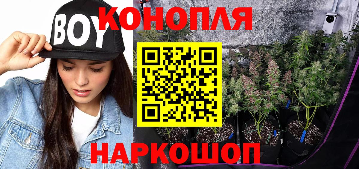 Конопля Bruce Banner Ижевск